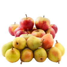 Doyenne du Comice peren of Elstar appels